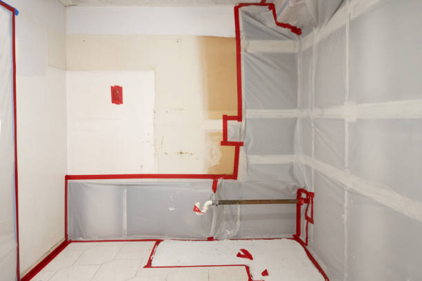 Best Mold Removal for HVAC Installations  in Milford, NE