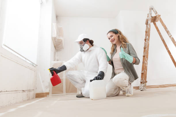 Best Black Mold Removal  in Milford, NE