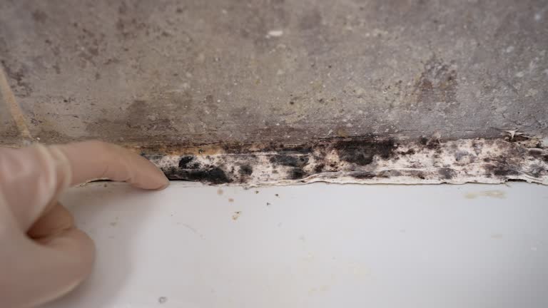 Best Air Quality Testing for Mold Spores  in Milford, NE